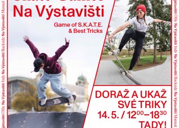 Czechskateboarding Game of SKATE