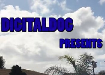 Digital dog - Hate on this