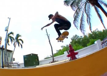 Andrew Reynolds v intw pro Zumiez skateshop