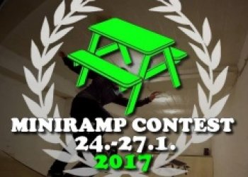 Picnic and Vans Miniramp Contest II